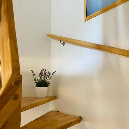 Feriehus Doppelhaushaelfte Birkenstrasse 5e Zingst