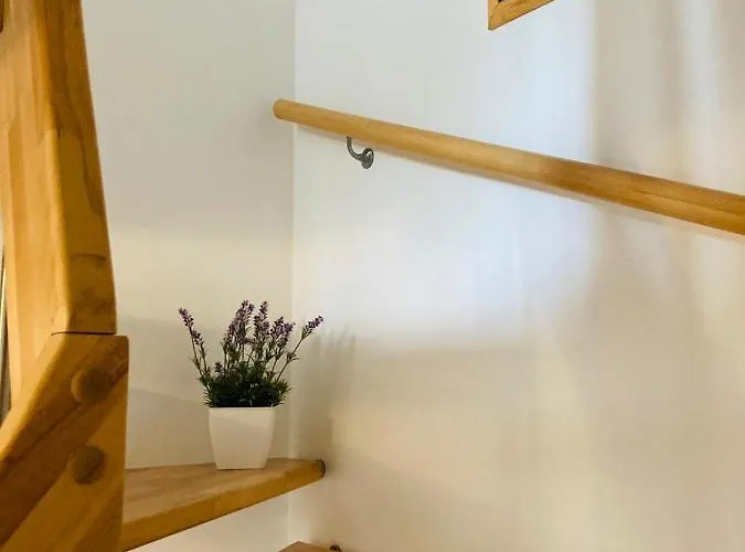 Ferienhaus Doppelhaushälfte Birkenstraße 5e Ostseeheilbad Zingst