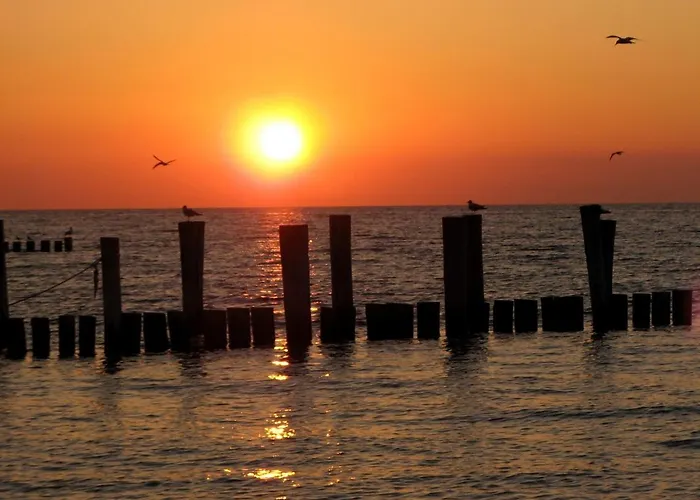 Doppelhaushälfte Birkenstraße 5e Ostseeheilbad Zingst